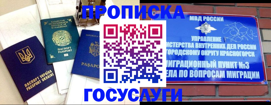 купить прописку в Шилке